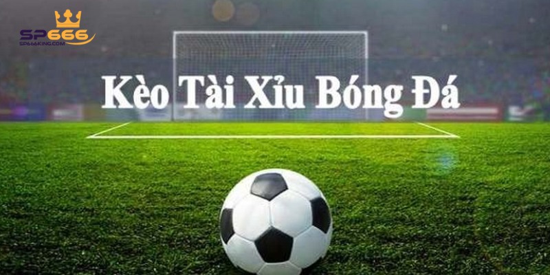 Kèo Tài Xỉu Bóng Đá Là Gì? 4 Bí Quyết Soi Kèo Tài Xỉu Dễ Thắng 2 Đọc kèo tài xỉu chuẩn giúp bạn tự tin cá cược